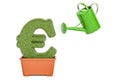 Watering can water grassy euro symbol. Money plant concept, 3D r