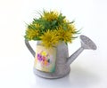 Watering-can with Yellow Asters
