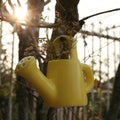 watering can Royalty Free Stock Photo