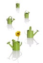 Watering cans