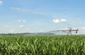 Watering Corn Crop Royalty Free Stock Photo