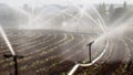 Watering crops in western Germany with Irrigation system using sprinklers in a cultivated field. Royalty Free Stock Photo