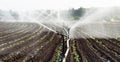 Watering crops in western Germany with Irrigation system using sprinklers in a cultivated field. Royalty Free Stock Photo