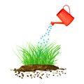 Grass, watering can and soil pile isolated on white background. Young lawn irrigation.