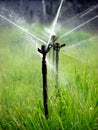 Watering Fields Royalty Free Stock Photo
