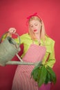 Watering flowers. Gardener woman planting flowers. Cute blonde gardening at background. Planting flowers. Royalty Free Stock Photo