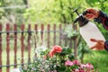 Watering flowers from a spray bottle on a summer terrace, gardening hobby summer concept