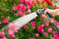 Watering flowers