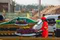 Watering flowers at toll plaza on highway outside Xian, China Royalty Free Stock Photo