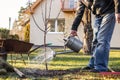 Watering freshly planted fruit tree in garden Royalty Free Stock Photo