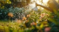 Watering freshly planted man gardening at his backyard during springtime Royalty Free Stock Photo