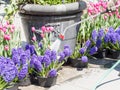 Watering garden Royalty Free Stock Photo