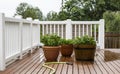 Watering Garden Plants on Patio Royalty Free Stock Photo