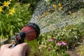 Watering a garden with a spray nozzle Royalty Free Stock Photo