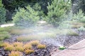 Watering alpine garden