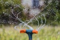 Watering the garden using a rotation sprinkler. Gardening irrigation system close-up. Royalty Free Stock Photo