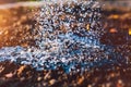 Watering garden. Water pouring on the ground