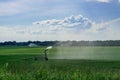 Watering the grass on a large field Royalty Free Stock Photo