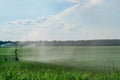 Watering the grass on a large field Royalty Free Stock Photo