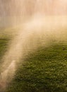 Watering grass in late sunlight