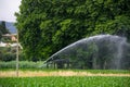 watering the green field to promote growth
