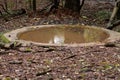 Watering hole for wildlife in the forest Royalty Free Stock Photo