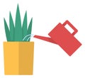 Watering houseplant icon. Green plant with watering can Royalty Free Stock Photo