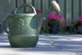 Watering jug, Royalty Free Stock Photo
