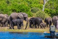 Watering large animals