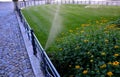 Watering lawn automatic irrigation with pull-out sprinklers fresh green color black plastic nozzles extend and rotate in a circula