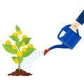 Watering money coin tree with can. illustration.