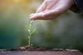 Watering new plant with hand