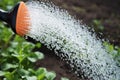 Watering of new vegetables. Royalty Free Stock Photo