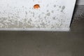 Watering a newly poured floor screed at home to prevent it from cracking.