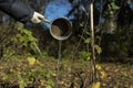 Watering plant with water. Water pouring out of bucket. Garden maintenance Royalty Free Stock Photo