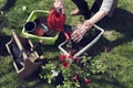 Watering planted red flowers. Spring time