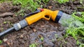 Watering plants using a hose and water spray Royalty Free Stock Photo