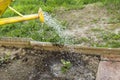 Watering the plants in the garden