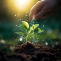 watering plants teaching planting and love of nature growth