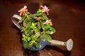 Watering pot with flowers inside