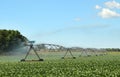 Watering Soy Beans