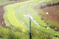 Watering Sprinkler Royalty Free Stock Photo