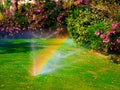 Watering sprinkler lawn Royalty Free Stock Photo