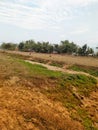 Watering system in crops through drain at Assam