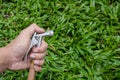 Watering to grass Royalty Free Stock Photo