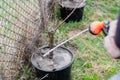 Watering trees in a garden nursery. A gardener waters a fruit tree in a container with soil from a hose Royalty Free Stock Photo