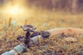 Watering the trees in the garden Royalty Free Stock Photo