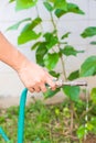 watering the trees pumping through rubber tube. Royalty Free Stock Photo