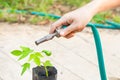 watering the trees pumping through rubber tube. Royalty Free Stock Photo