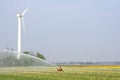 Modern wind turbine delivers renewable alternative energy to sprinkle the Noordoostpolder, Flevoland, Netherlands